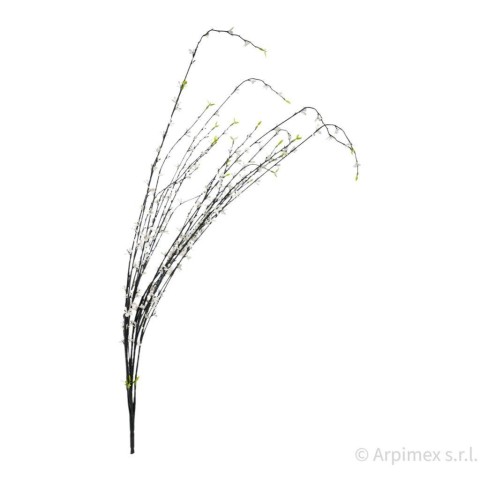 BUSH GINESTRA x 5 CM.85 WHITE